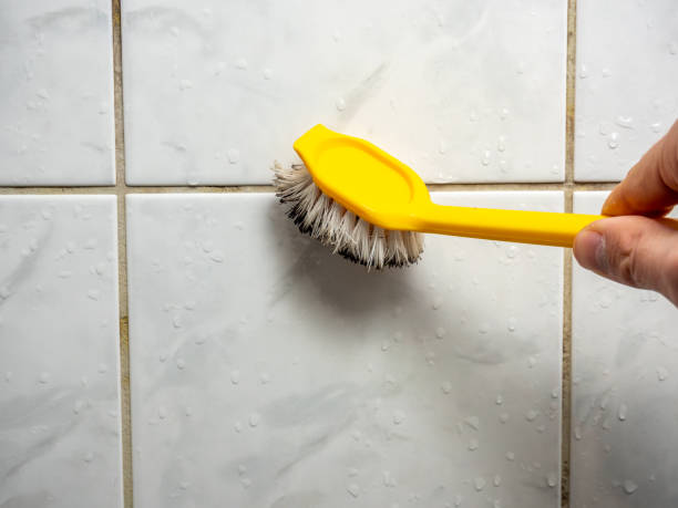 Trusted Reisterstown, MD Mold Removal Experts