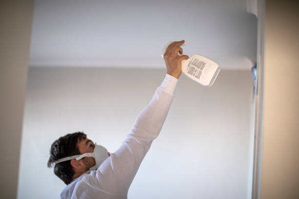 Best Office Mold Removal Services  in Reisterstown, MD