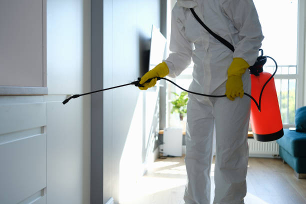 Best Residential Mold Removal  in Reisterstown, MD
